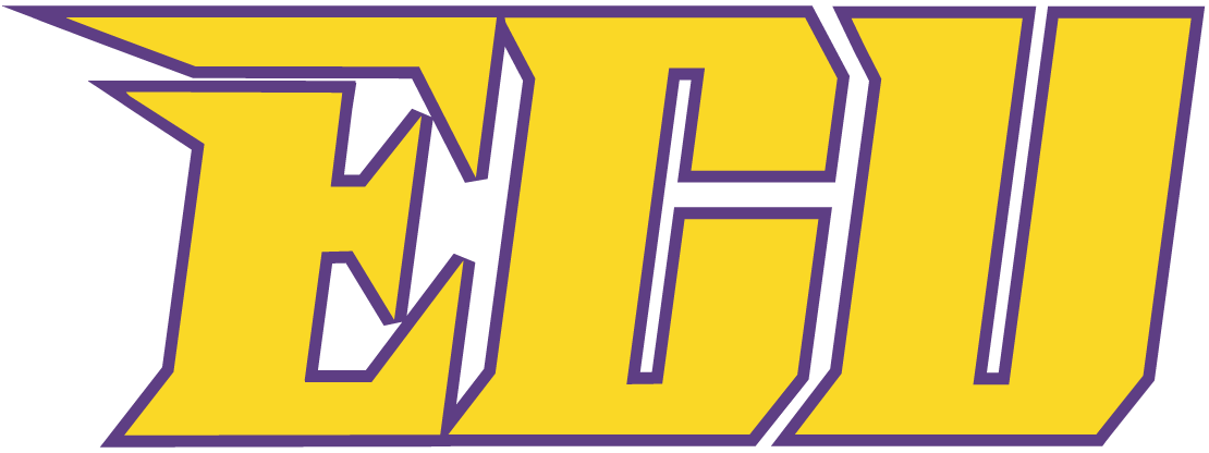 East Carolina Pirates 1999-2013 Wordmark Logo v5 diy iron on heat transfer